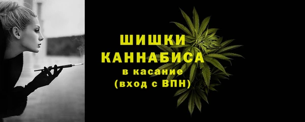 Альфа ПВП Медногорск