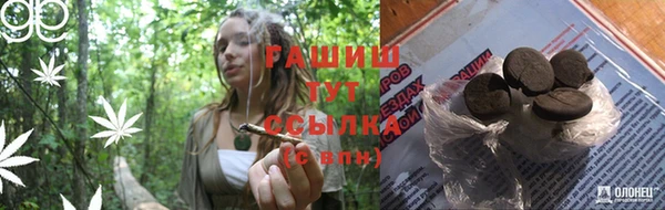 Альфа ПВП Медногорск