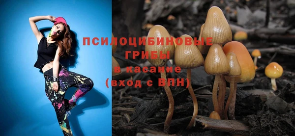 гашишное масло Богородицк