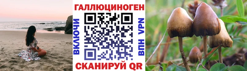 Галлюциногенные грибы Psilocybine cubensis МЕГА как зайти Лабинск