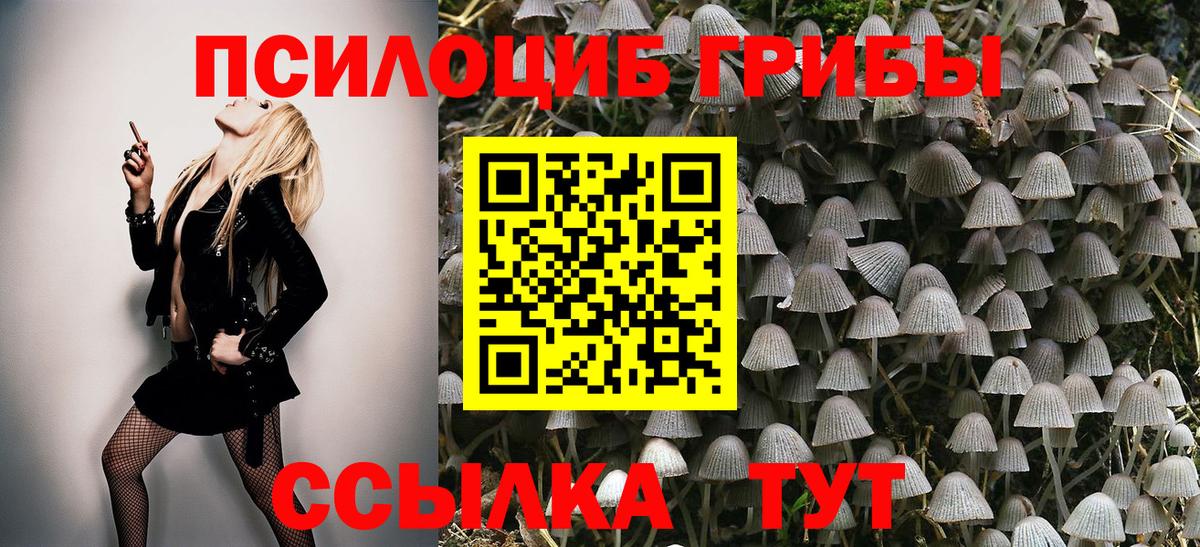 Псилоцибиновые грибы прущие грибы  Вход с VPN  Лабинск 