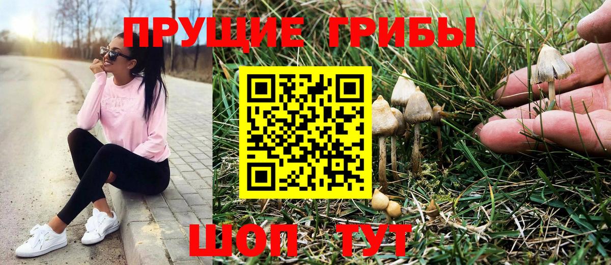 Псилоцибиновые грибы прущие грибы Лабинск